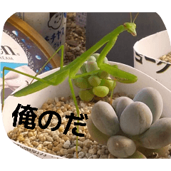 Mars99_20260201185632