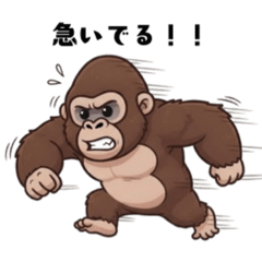 Burlington_20260201192427