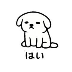 u10824_20260201201511