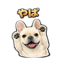 NMSNK_20260201202553