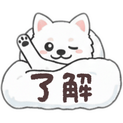 stamp Chihuahua!koochan