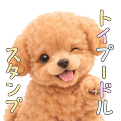 Usable Every Day! Toy Poodle Stamps