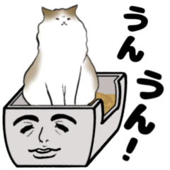 Cat Litter Aniki [Easy to Use]