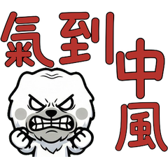 Taiwanese Old English Sheepdog  32nd