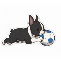 SHIHO_20260201234909