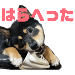 takechichi_20260201190104