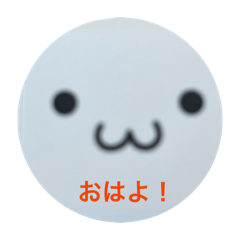 tubaki_20260201190547