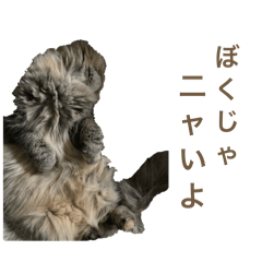 Toukibinn_20260201215514