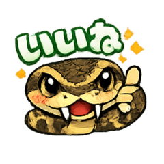 kamican_20260201224431