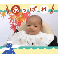 SHOHEI_20260201224418