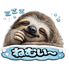 Happy Animal_Sloth 1