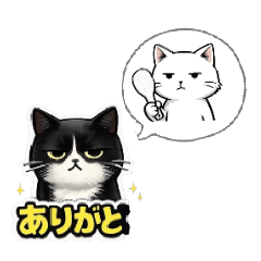 mayumi_20260201191644