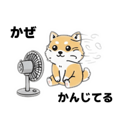 FuuTa_20260201220731