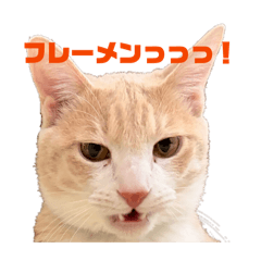 Kinakoya_20260201223735