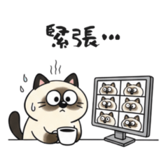 Sleepy Siamese Cat at Work