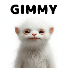 GIMMY..Daily Reactions