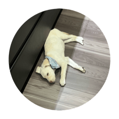 fukuda_20260201193915