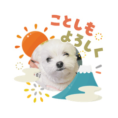 SHOHEI.I_20260201194058