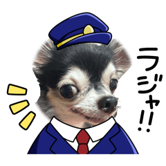 honochan_20260201194843