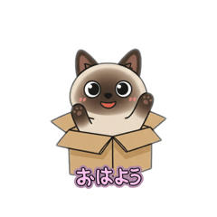 zuboramama,s_20260201225530