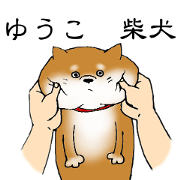 yuko shibainu
