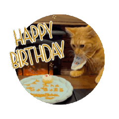 mugitya!_20260202124251