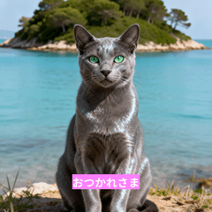 Friendly Gray Cat Stickers