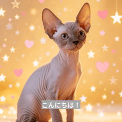 Friendly Sphynx Cat Stickers