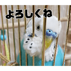 sakusaku_20260201223906