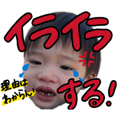 cococo_20260202110747