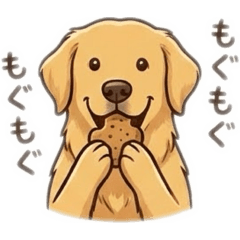 nakaha_20260202121722