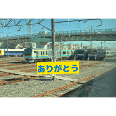 sotaman_20260131183537