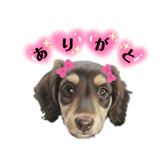 Tichu_20260131190618