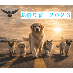 NEKOMARUKE_20260131204721