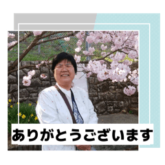 seirei_20260202030311
