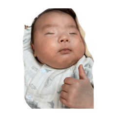 hiroe_20260202052145