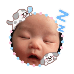 yoisyo_20260202100734