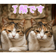 PAKAMOGOLY_20260202100555