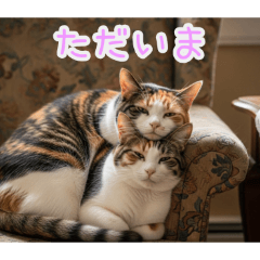 PAKAMOGOLY_20260202100514