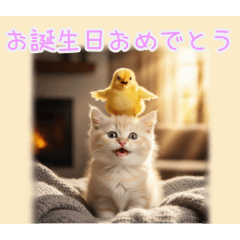 PAKAMOGOLY_20260202100755