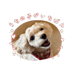 Sachi_20260202225230