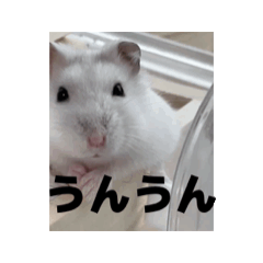 Liencourt_20260202235512