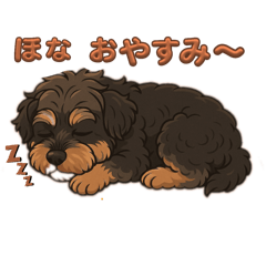 mikazuki_20260131220917