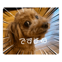 Miekawa_20260131144731