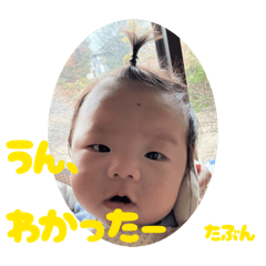 inasako_20260131203250