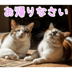 PAKAMOGOLY_20260202074416