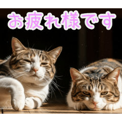 PAKAMOGOLY_20260202074335