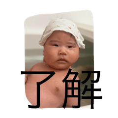 kazu0617_20260202080658