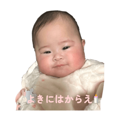momo_20260202