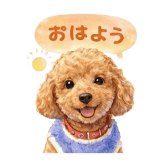 satsuki_20260202082556